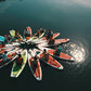 Airboard Gutschein CHF 100.-